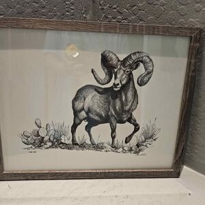 Framed Pencil Drawing 15" X 12" Big Horn Sheep B Garcia 1982